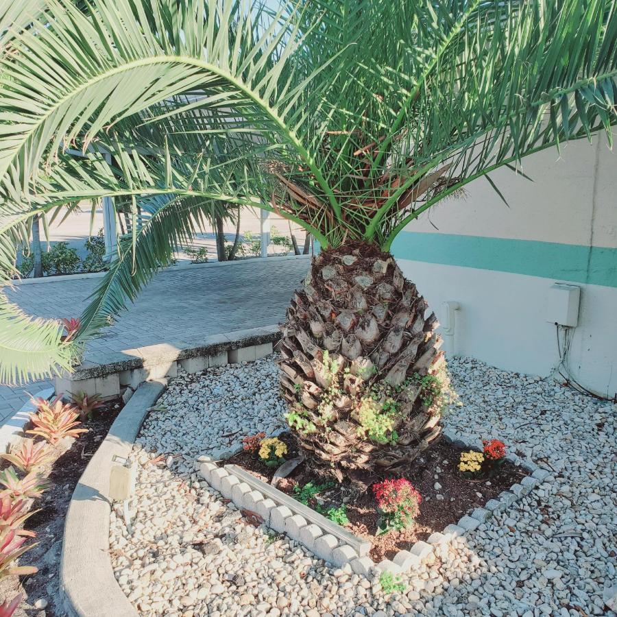 Tropical Palm Motel North Fort Myers Exterior foto